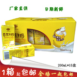 石埠香蕉牛奶200ml*15盒 广西奶学生营养甜奶成人早餐奶限时包邮