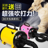 狗狗吹水机超静音宠物洗澡用品大功率双马达干毛器泰迪专用吹风机