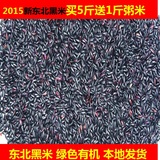 东北黑大米黑龙江五常农家特级有机黑米特价5斤包邮2015新黑大米