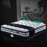 三线独立弹簧席梦思山羊绒床垫 进口天然乳胶1.5米 1.8米2米 床垫