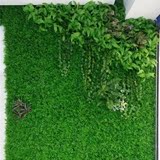 丽姐仿真草坪塑料人造草坪地毯草米兰草坪幼儿园家居装饰植物墙