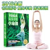 正版瑜伽光盘初级入门视频教程DVD碟片 减肥瘦身瑜伽教材健身操碟