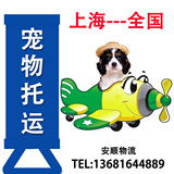 上海 活体宠物狗狗猫咪兔子航空托运汽运输 空运 可上门提货