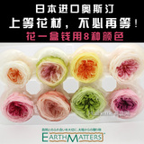日本大地农园双色大卫奥斯汀玫瑰4-5cm8朵一盒进口永生花批发