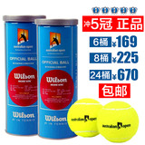 包邮正品Wilson维尔胜威尔逊铁桶 网球比赛专用网球澳网官方用球