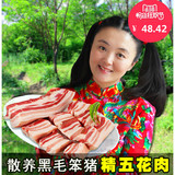 【精五花肉】老隽头新鲜东北农家土猪肉笨黑猪肉散养生肉烤肉500g