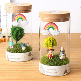 苔藓微景观生态瓶迷你植物DIY盆栽奇趣绿植创意办公室桌面摆件