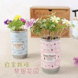 包邮可爱创意迷你植物小盆栽diy办公室桌面 种子 罐头花卉栽培