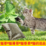 有机猫薄荷迷你包5g 化毛球 宠物猫猫零食 木天蓼粉末 促消化