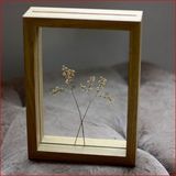 猴年礼物原木色双面玻璃植物标本相框6寸7寸实木创意摆台装饰画框