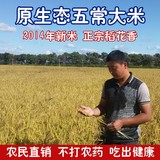 正宗东北五常大米新米稻花香米非转基因农家散装优质香米农户直供