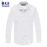 Youngor/雅戈尔专柜正品新款男士全棉免烫长袖衬衣商务正装衬衫