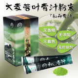 日本直邮三洋天然大麦若叶抹茶和み青汁代餐粉3g*30袋 酵素果蔬