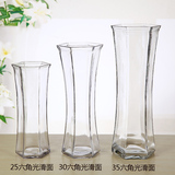 新品包邮玻璃透明花瓶时尚简约现代家用品批发富贵竹水培花瓶六角