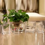 水培植物玻璃花瓶花器透明简约方形花瓶水养花卉绿植容器小鱼缸