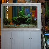 欧式屏风生态玻璃造景鱼缸水族箱 中型小型 1.2米底柜超白缸包邮