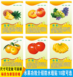 水果功效墙贴纸水果店装饰画水果介绍墙纸常见水果果园装饰墙贴纸