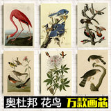 奥杜邦海报画 复古怀旧花卉鸟类动物装饰画油画布壁画挂画墙画