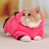 猫咪衣服冬装小奶猫加厚秋冬衣服  双面珊瑚绒超萌保暖宠物服饰
