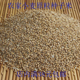 小麦粒小麦米原粒250g农家杂粮阳台 小麦草种子 带皮发芽麦子