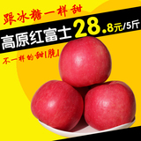 新鲜苹果水果批发甘肃特产静宁红富士苹果冰糖心脆甜多汁5斤包邮