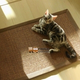 进口剑麻地毯猫抓板猫抓毯宠物地垫猫爪垫耐磨板柱子定制特价包邮