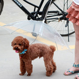 hellojoy宠物用品狗狗透明雨伞雨衣 小型犬泰迪雨季必备时尚雨具