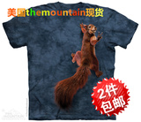 2015美国代购TheMountain胜利松鼠3d立体T恤情侣装潮男女短袖新款