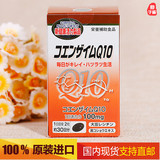 日本代购 原装野口辅酶Q10 大豆卵磷脂 保护心脏抗衰老保健品
