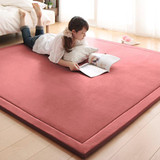 加厚现代简约珊瑚绒面日式地毯榻榻米床垫子 卧室客厅 加厚地垫