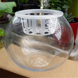 圆球玻璃花瓶花盆多个规格室内绿植盆栽花卉水培植物送固根器