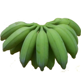 广东高州新鲜香蕉水果无催熟剂米蕉粉蕉糯米蕉非海南皇帝蕉 4.5斤