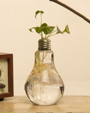 特价 创意水晶花瓶玻璃透明 现代时尚灯泡水培花瓶 花器 桌面鱼缸