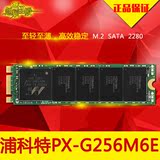 PLEXTOR/浦科特 PX-G256M6e M.2 2280NGFF PCIE 256G 固态硬盘