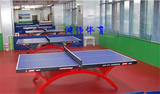 红双喜大彩虹乒乓球桌  红双喜比赛用室内家用乒乓球台 原厂正品