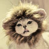 全国包邮 Cat Cosplay Lion猫假发套 猫 头套 狮子 宠物用品