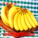 【冰冰点点】 新鲜水果 精品香蕉3斤装  西安市同城宅配送