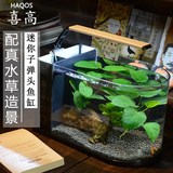 子弹头创意小鱼缸 办公桌面生态水族箱 造景水草缸