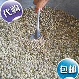 【全球包邮】印尼现货供应  薇亚妮庄园圈养猫屎咖啡生豆1公斤