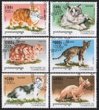 309  外国盖销邮票柬埔寨1998年 宠物猫 萌猫  家猫动物世界(6枚)