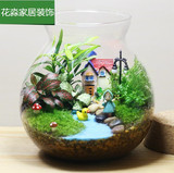 新款包邮 苔藓植物微景观带灯款生态瓶 小梅别墅 玻璃罐送礼佳品