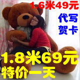 毛绒玩具熊超大号1.6米泰迪熊1.8米娃娃公仔大熊新年情人节礼物女