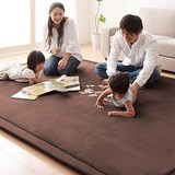 出口 现代简约珊瑚绒面 日式地毯榻榻米床垫子 卧室客厅 加厚地垫