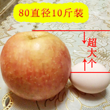 苹果    红富士苹果  农产品  水果  十斤包邮 最好吃的苹果