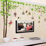 绿树相框 卧室客厅电视沙发背景墙壁贴纸 超大照片树墙贴纸可移除