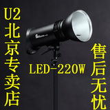 U2 唯美LED220W太阳灯视频拍摄灯儿童摄影灯长亮灯影楼灯影室灯