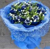 蓝玫瑰蓝色妖姬合肥生日鲜花速递情人节表白南昌兰州同城花店送花