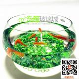 特价多省包邮办公桌圆形透明玻璃金鱼缸乌龟缸大小号水培植物器皿