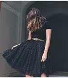 2016春季新款欧美新款丝绒蓬蓬裙长袖黑色晚礼服修身连衣裙女