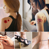 5张超值套装 韩国纹身贴男女防水持久 花臂个性创意逼真刺青贴纸